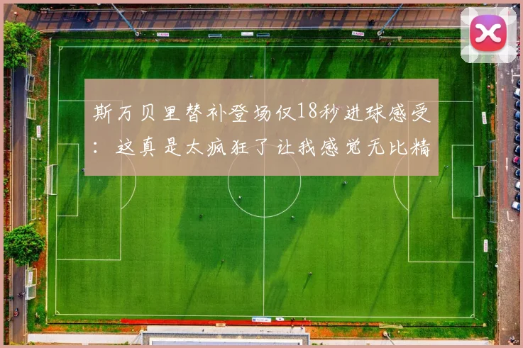 斯万贝里替补登场仅18秒进球感受：这真是太疯狂了让我感觉无比精彩
